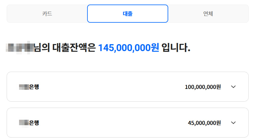 진행 후 — 신용정보회사에서 조회한 1금융권 중심으로 정리된 대출 현황 (개인정보 비식별 처리)